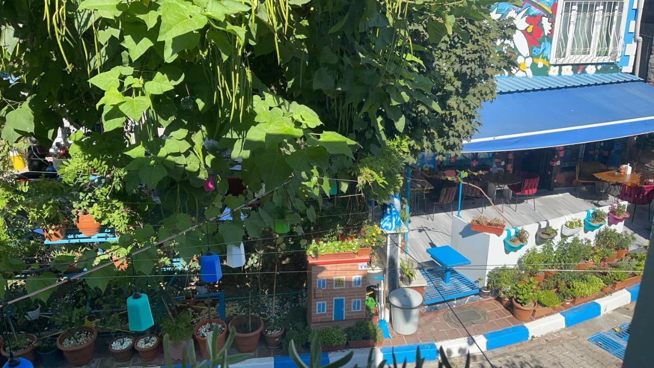 Sultanahmet Isil Hotel Istanbul Eksteriør billede